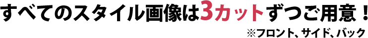 すべてのスタイル画v像は3カットずつご用意！